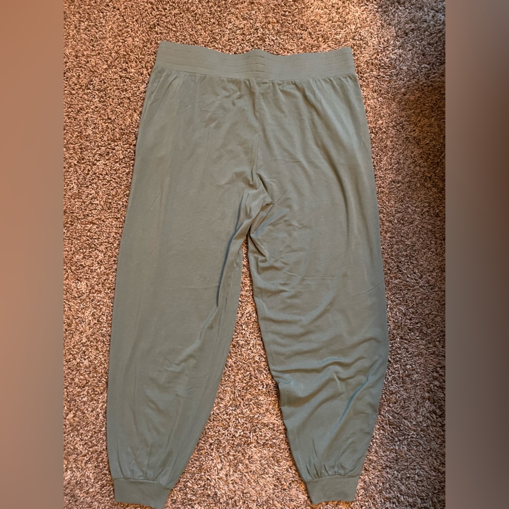 AnyBody Tall Cozy Knit Ribbed Jogger Pants. Size L-tall.
